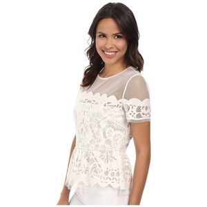 *BCBMAXAZARIA*  Kassandra Scalloped
Burnout Peplum Blouse